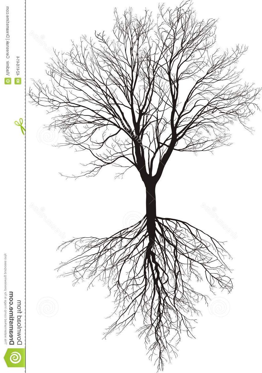 illustration stock arbre nu avec des racines image