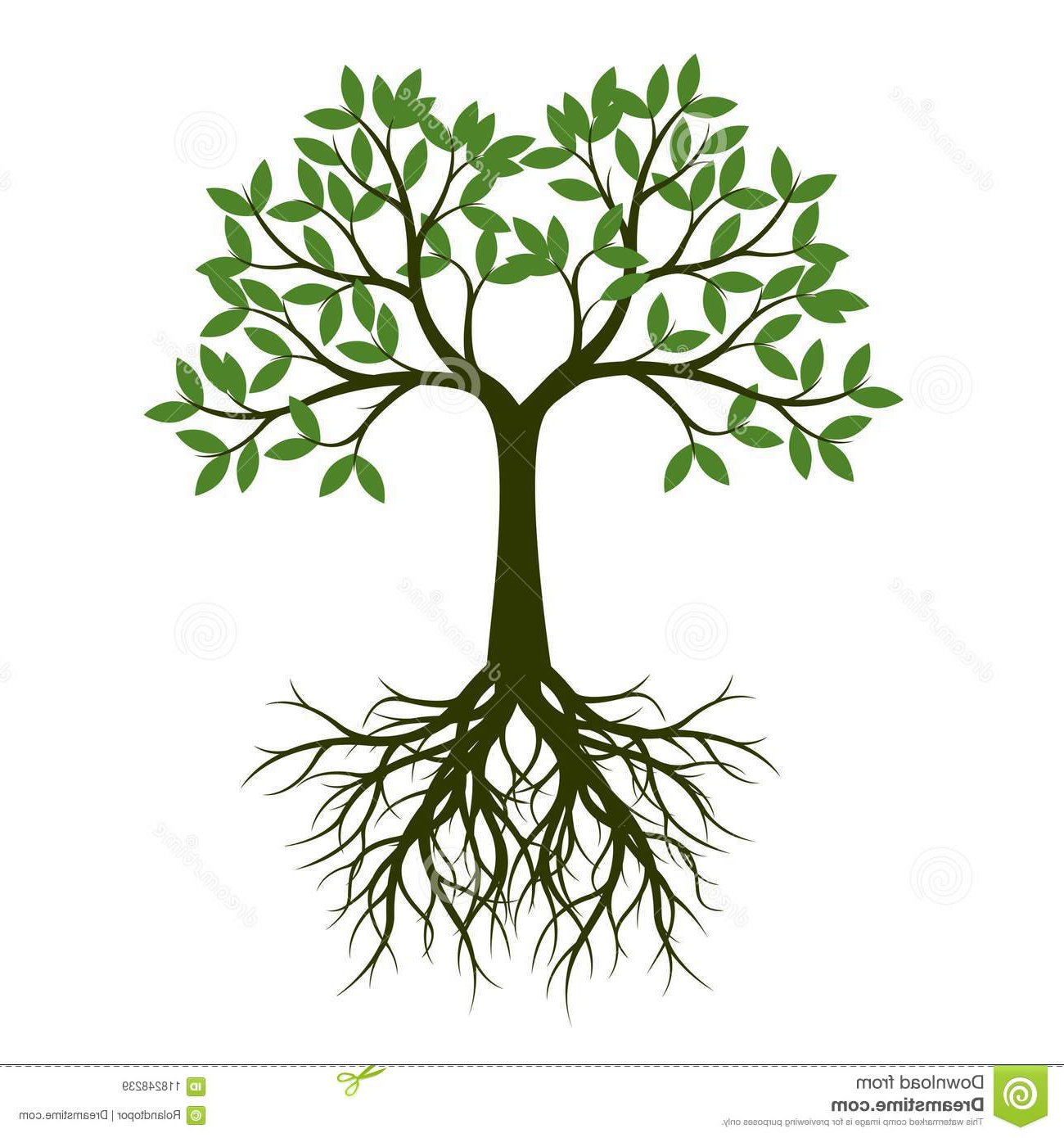arbre vert ressort racine illustration vecteur image