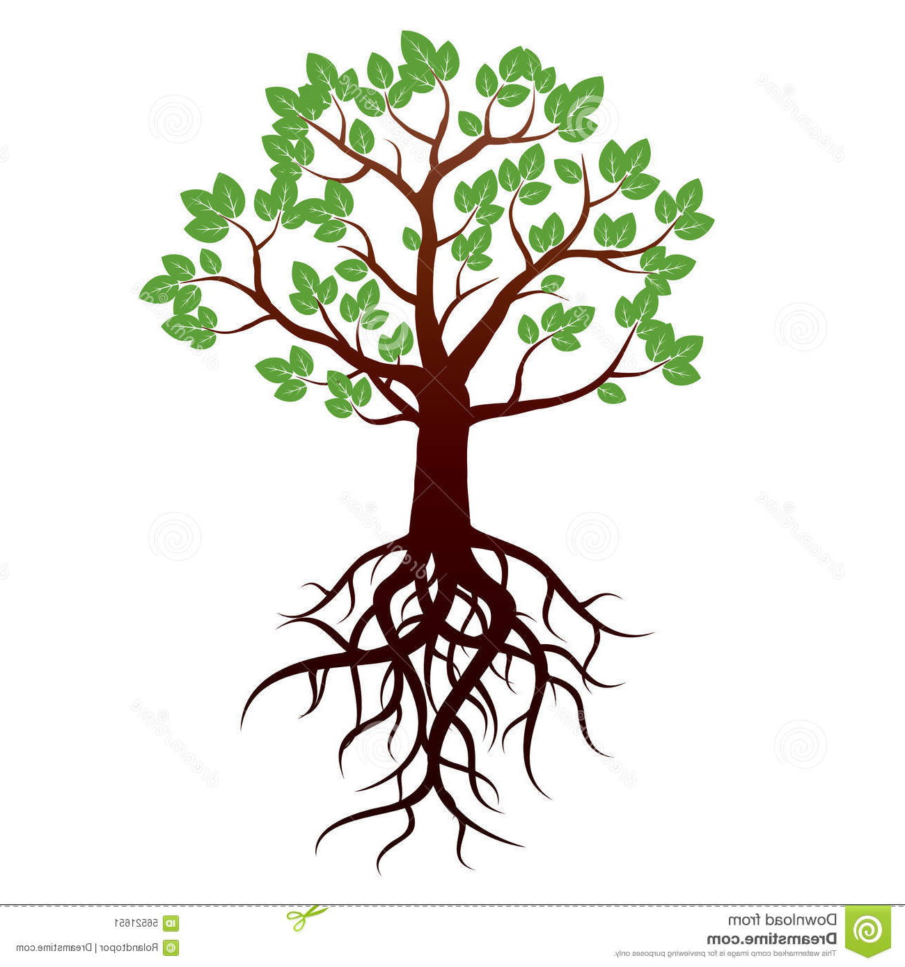 illustration stock arbre et racines illustration de vecteur image