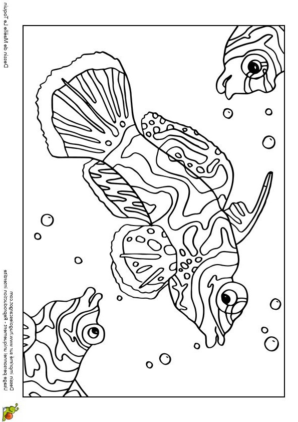 banc coloriage luxury 226 best coloriages de poissons et animaux marins images on