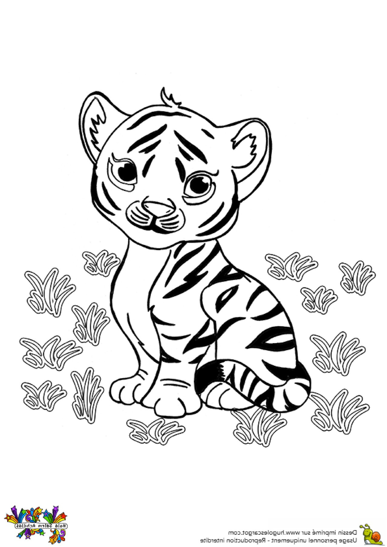 coloriages de bebe tigre