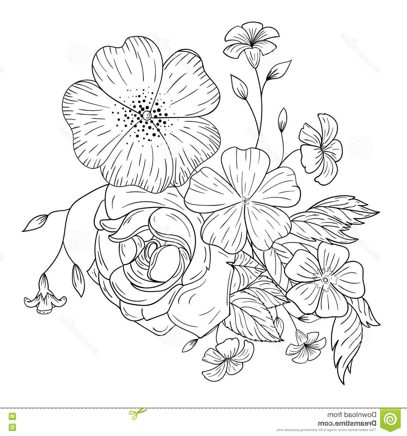 illustration stock un bouquet des fleurs pour livres de coloriage image