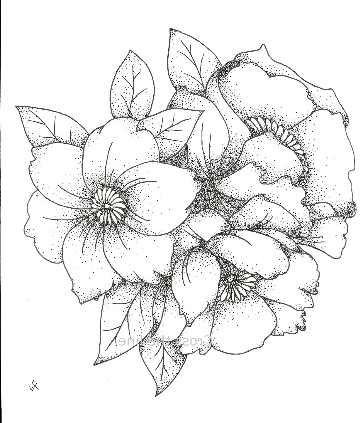 bouquet de fleurs en dessin