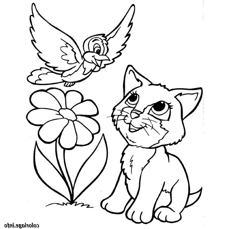 chat oiseau fleur coloriage dessin 2218