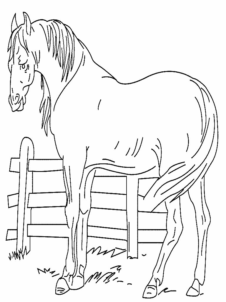 dessin a colorier de chevaux