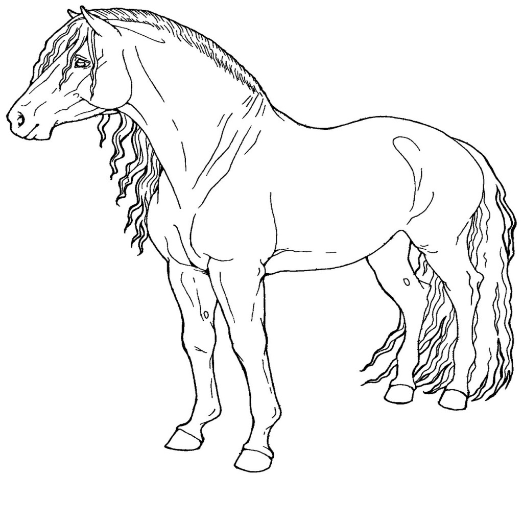 coloriage imprimer gratuit cheval coloriage chevaux et colorier pour cheval a imprimer gratuitement
