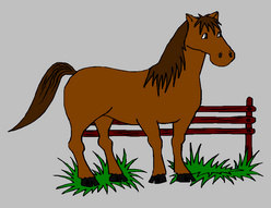 tag coloriage couleur cheval