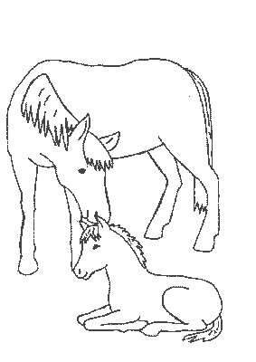 Cheval Dessin Simple Beau Collection Coloriage Cheval