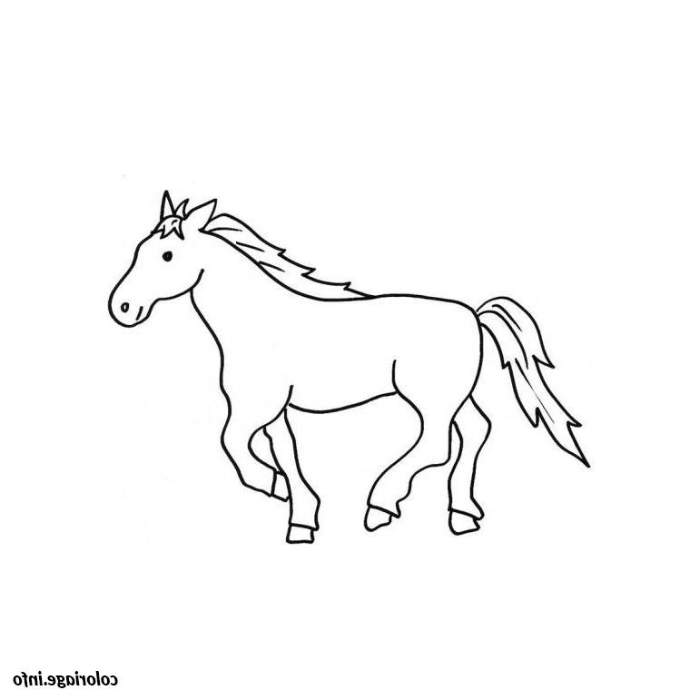 cheval arabe coloriage 319