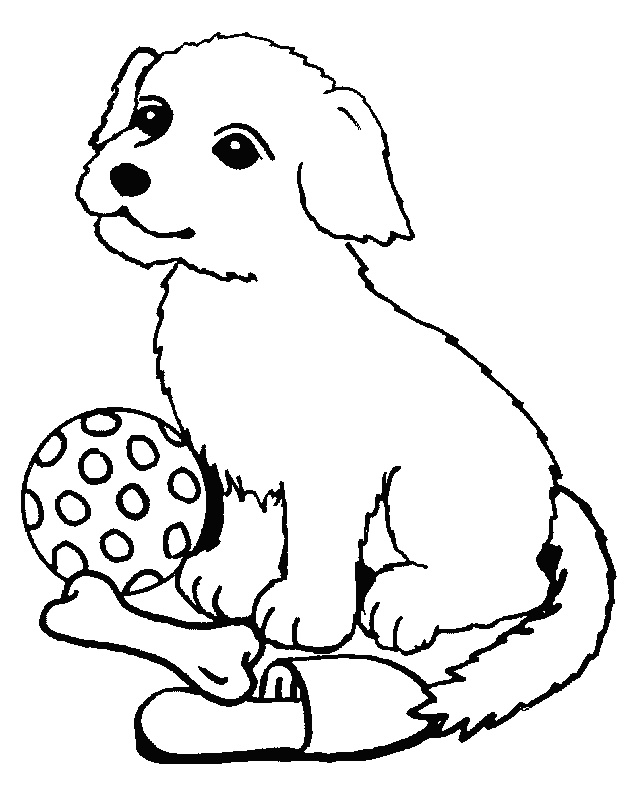 coloriage chien bouvier bernois