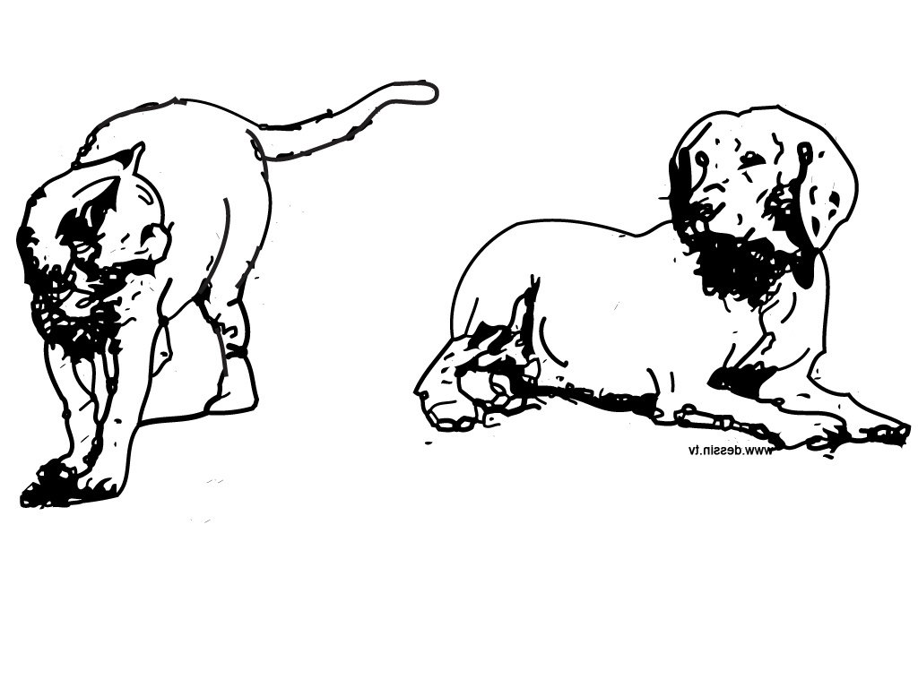 coloriage chien et chat