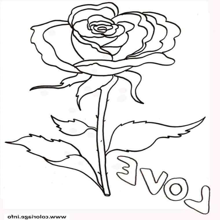 coloriage de roses a imprimer belle coloriage rose et coeur 113 dessin
