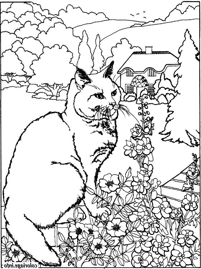 chat et des fleurs coloriage dessin 8302