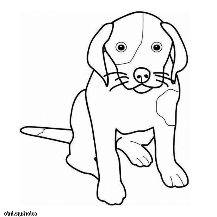 animaux chien coloriage dessin 48
