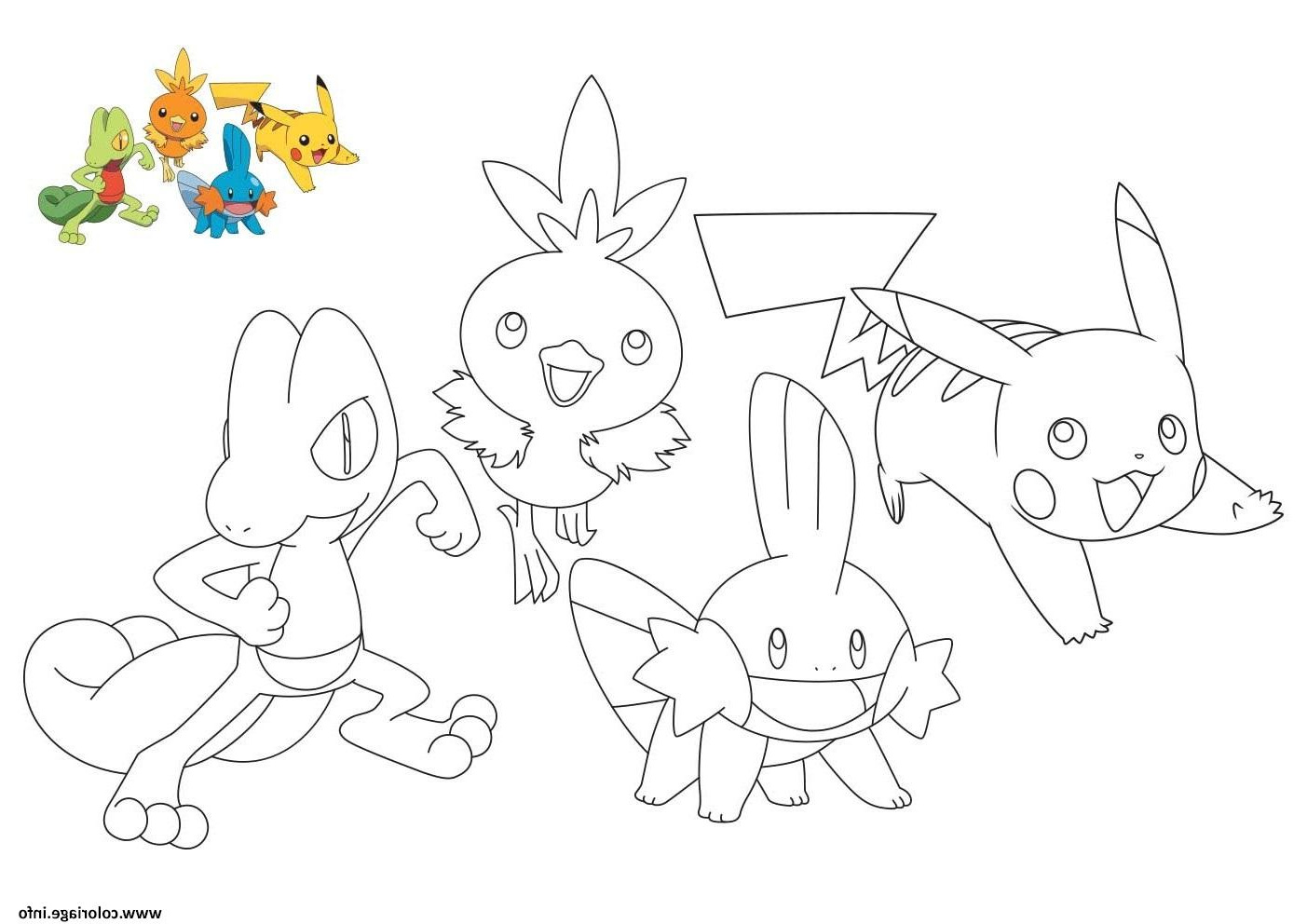 pokemon pikachu treecko torchic mudkip coloriage dessin