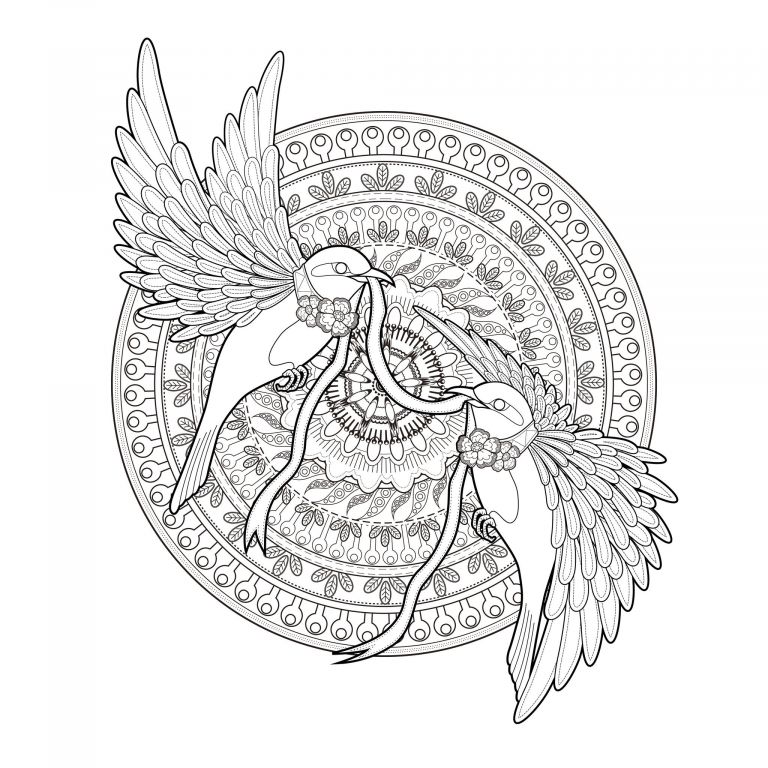 Coloriage Adolescent Unique Photos Mandala Deux Hirondelles Et Un Ruban Oiseaux