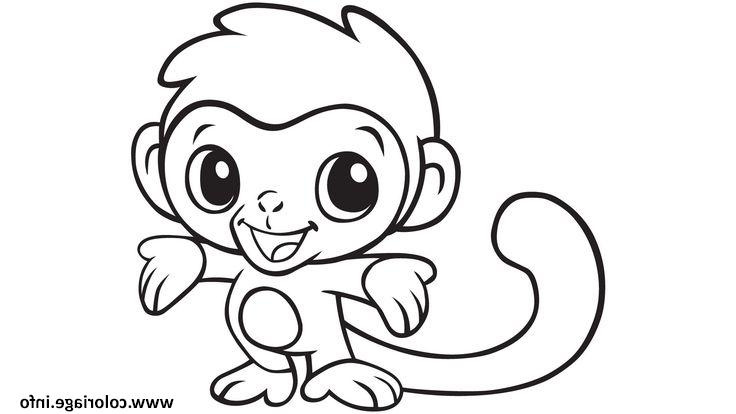 cute singe animal coloriage dessin