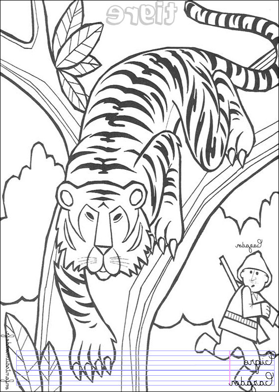 61 coloriage tigre 1
