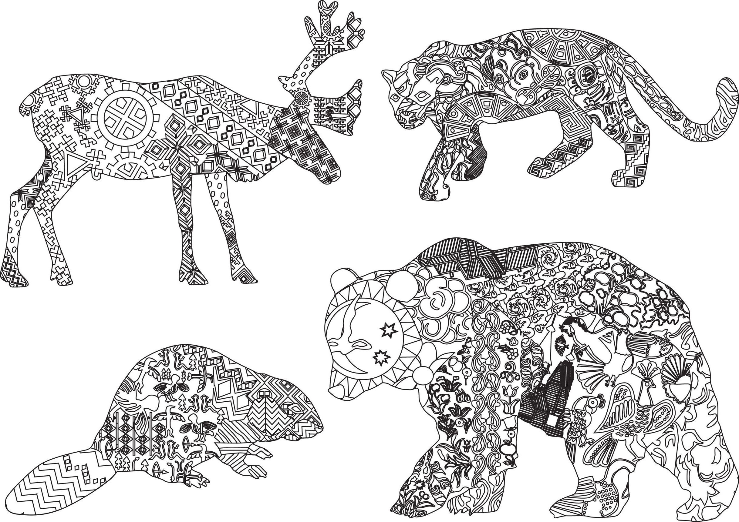 coloriage animaux sauvages difficile
