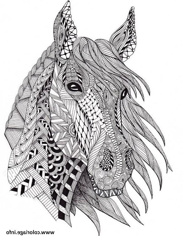 cheval adulte difficile plusieurs motifs coloriage dessin