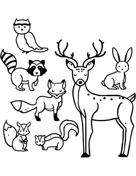 dessin des animaux sauvages
