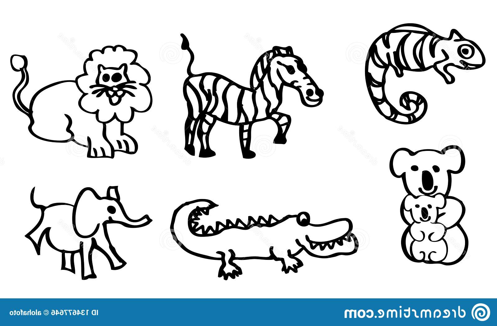 livre coloriage dessins sujet des animaux sauvages enfants lion crocodile également disponibles me image