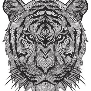 coloriages anti stress animaux lovely coloriage chat mandala adulte anti stress dessin