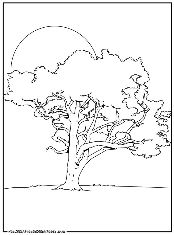 dessin d arbre facile