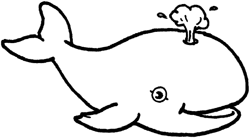 baleine dessin