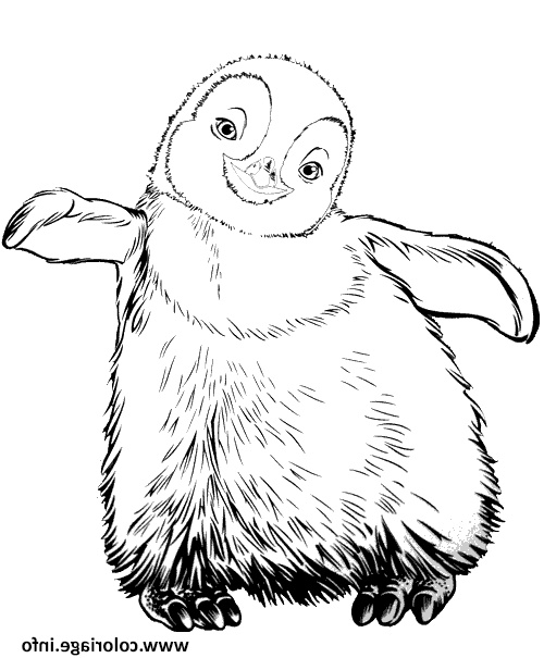 pingouin bebe coloriage