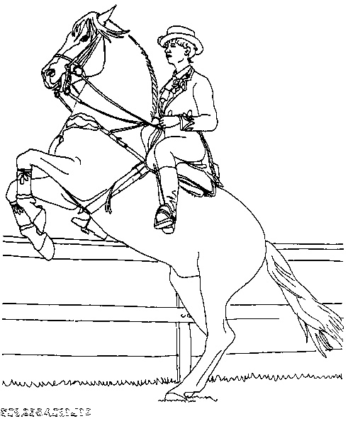 imprimer coloriage 1264 coloriage cheval western