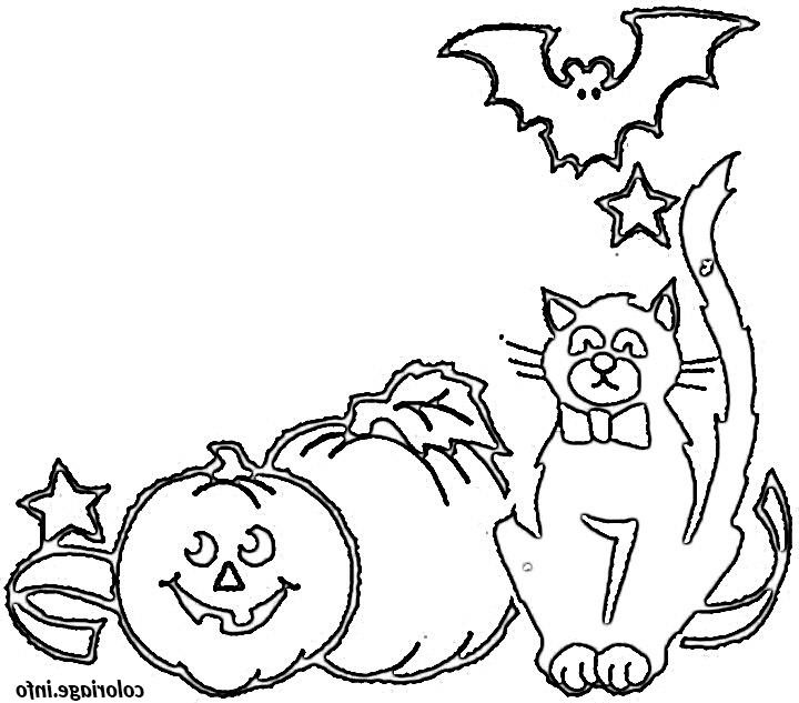 halloween de chat coloriage dessin 2210