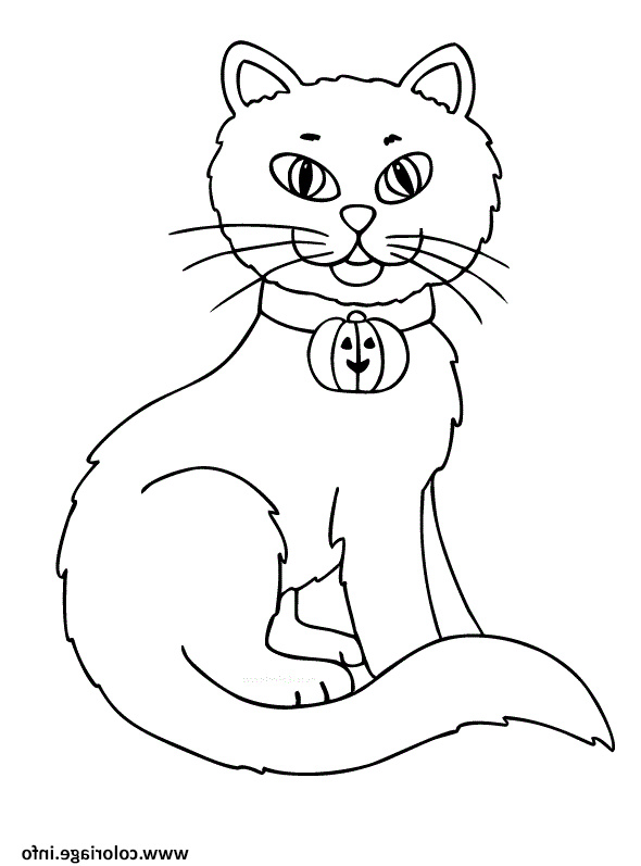chat halloween coloriage