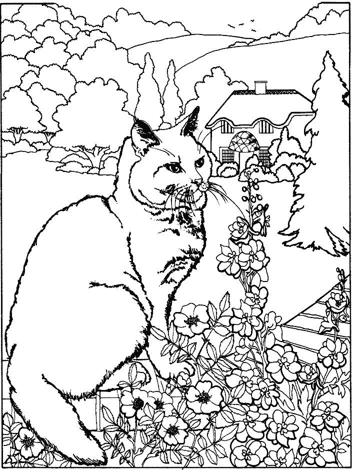 coloriage Chats 1