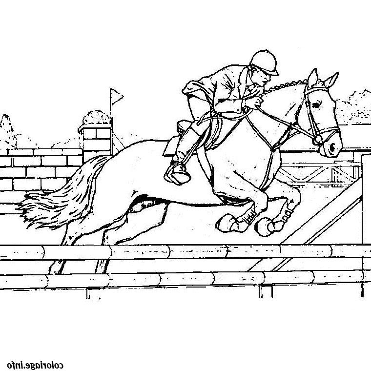 chevaux saut coloriage dessin 330