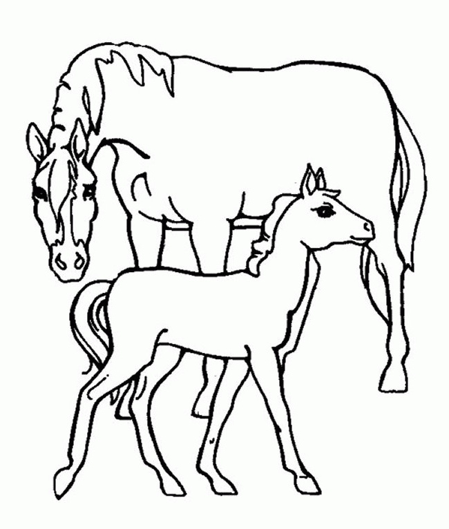 cheval soigne son poulain 1105