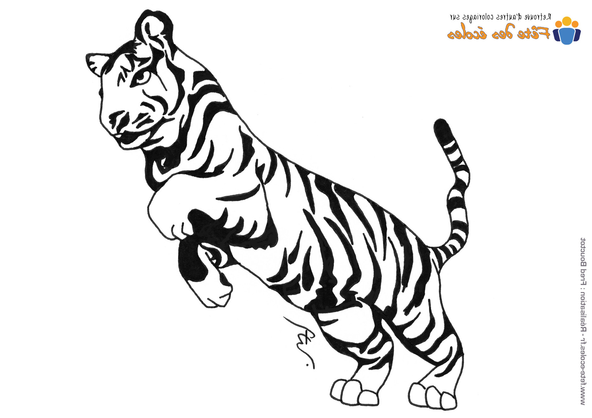 image de tigre pour coloriage