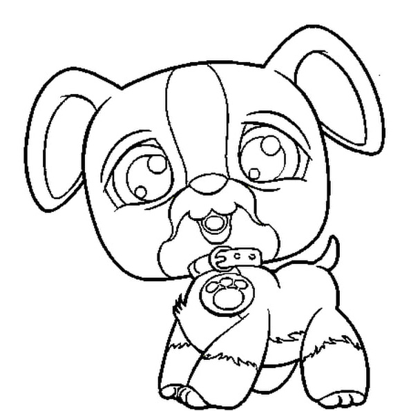 pet shop chien coloriage