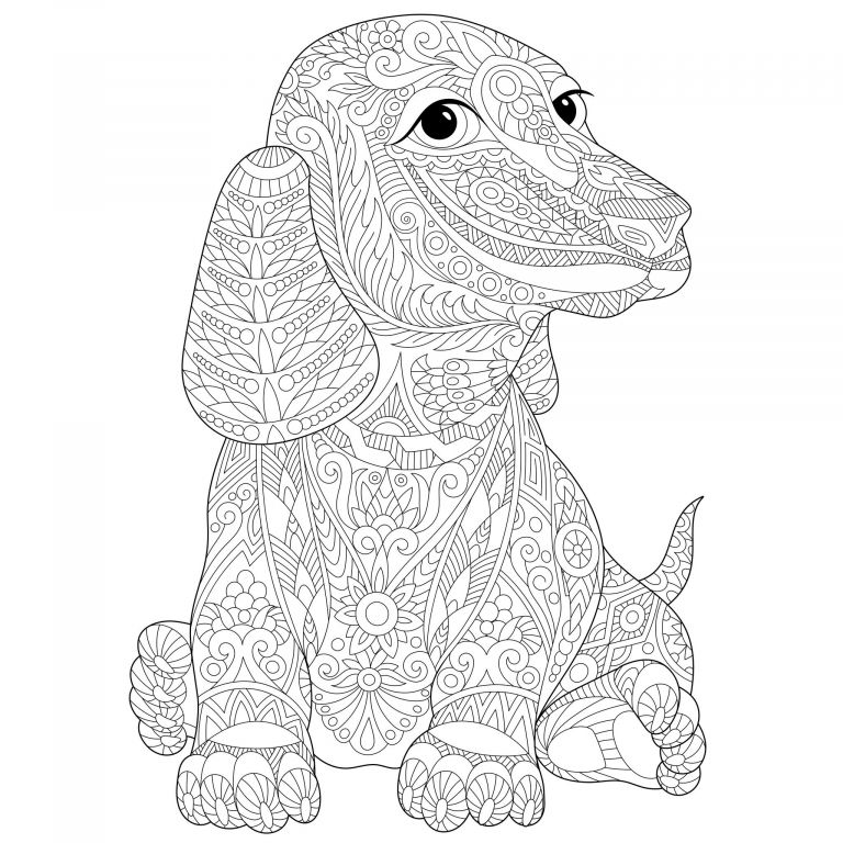 Coloriage Chien A Imprimer Luxe Image Chien Teckel Chiens Coloriages Difficiles Pour Adultes
