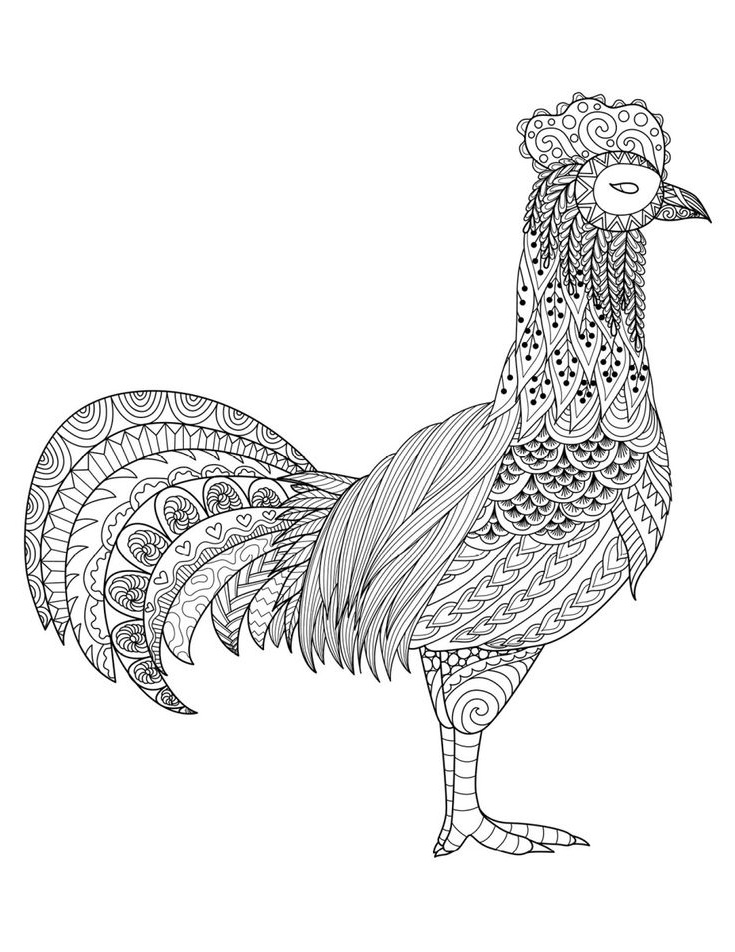 coloriage danimaux animal adult coloring page