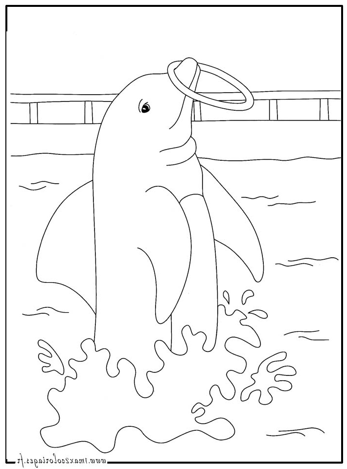dessin dauphin et sirene a imprimer