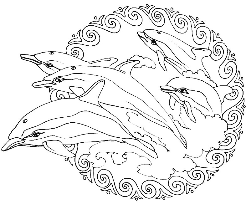 coloriage a imprimer gratuit sirene et dauphin dessins gratuits colorier coloriage mandalas animaux imprimer