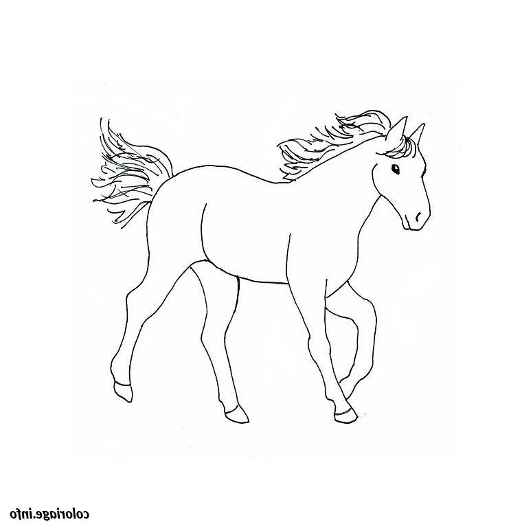 cheval western coloriage 357