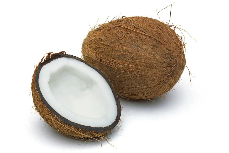 coloriage noix de coco