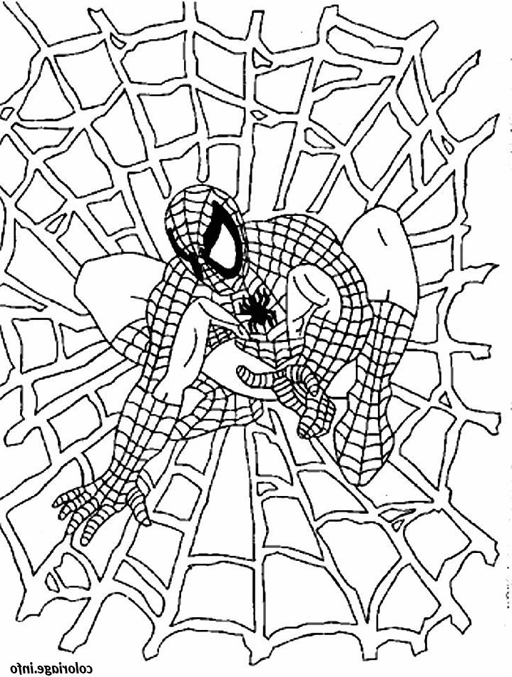 spiderman 13 coloriage dessin 2724