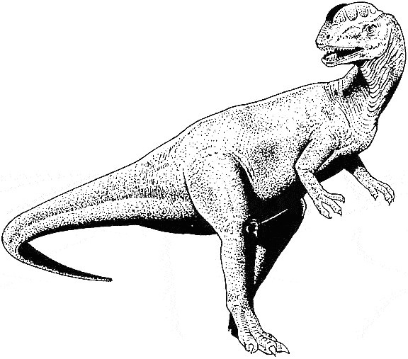 coloriage dinosaure tyrannosaure coloriage dinosaure les beaux dessins de animaux imprimer et