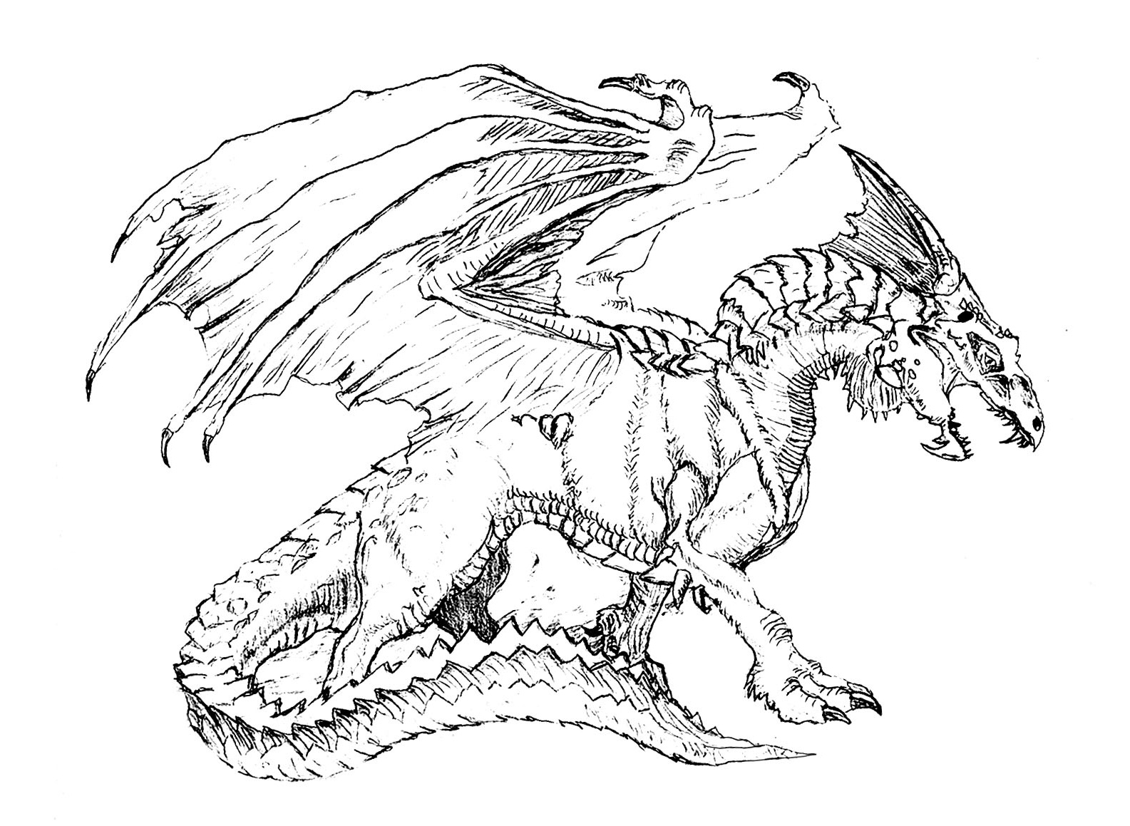image=chevaliers et dragons coloriage dragon dessin original 1