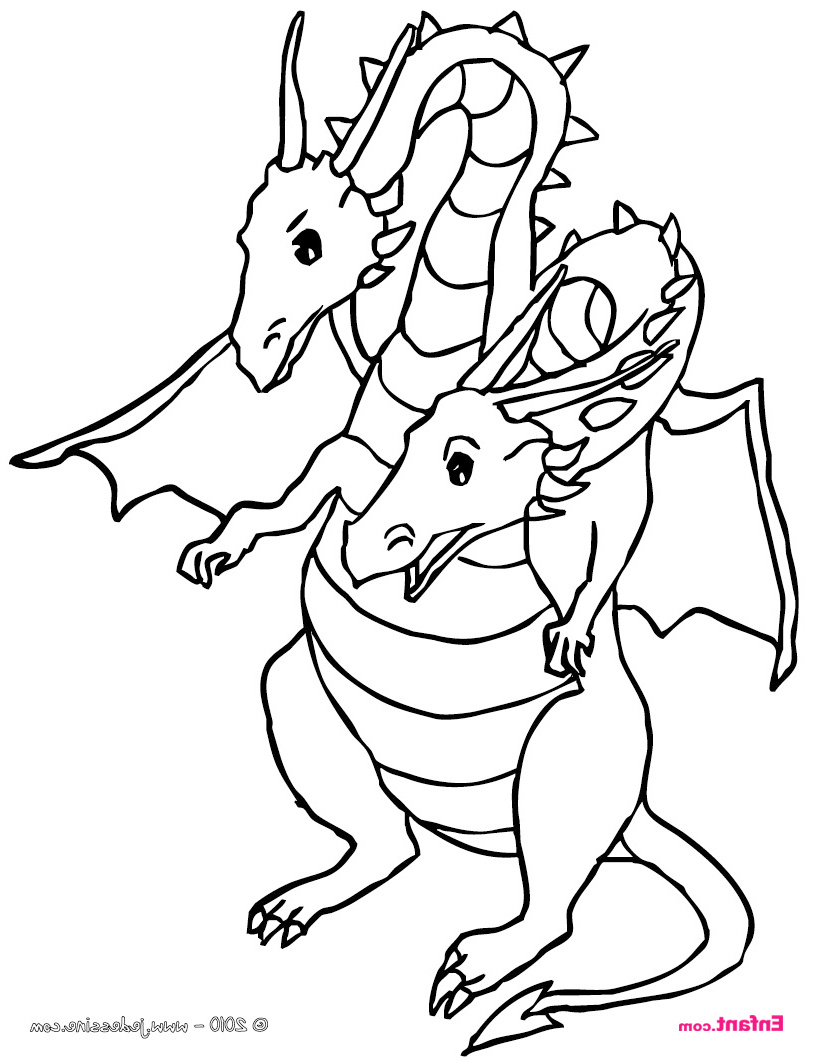 garcon dragon2