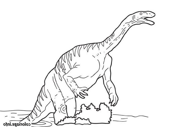 dessin dinosaure plateosaure coloriage 7853