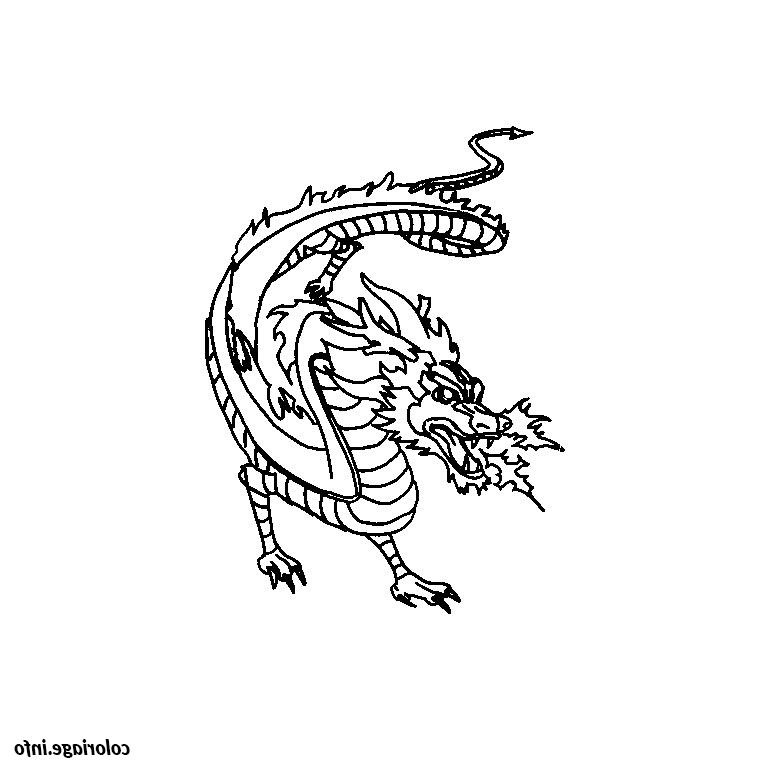 dragon de feu coloriage 2047